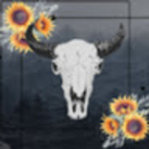 Meet your Posher, Kassandra